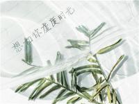在手機上怎么賺錢？打造IP是長久賺錢的不二法門！